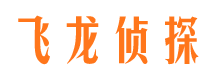 洛浦私家调查公司